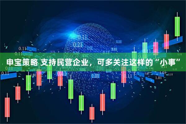 申宝策略 支持民营企业，可多关注这样的“小事”