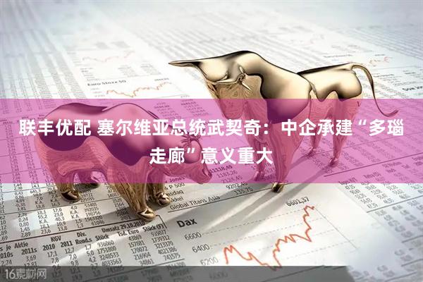 联丰优配 塞尔维亚总统武契奇：中企承建“多瑙走廊”意义重大