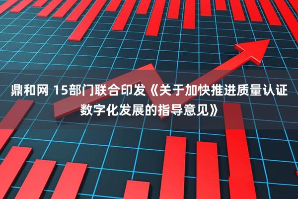 鼎和网 15部门联合印发《关于加快推进质量认证数字化发展的指导意见》